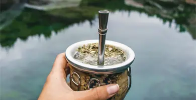 I benefici del mate